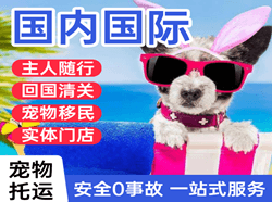 恩施许家坪机场快运国际宠物托运 【国